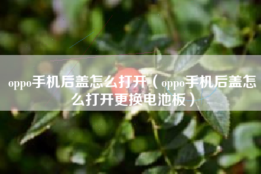 oppo手机后盖怎么打开（oppo手机后盖怎么打开更换电池板）