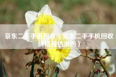 京东二手手机回收（京东二手手机回收价格预估准吗）
