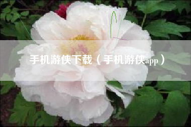 手机游侠下载（手机游侠app）