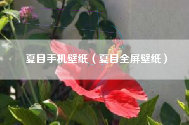 夏目手机壁纸（夏目全屏壁纸）