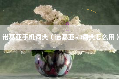 诺基亚手机词典（诺基亚e63词典怎么用）