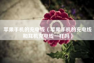 苹果手机的充电线（苹果手机的充电线和耳机充电线一样吗）