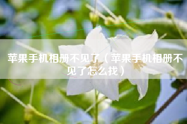 苹果手机相册不见了（苹果手机相册不见了怎么找）