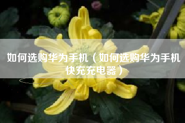 如何选购华为手机（如何选购华为手机快充充电器）
