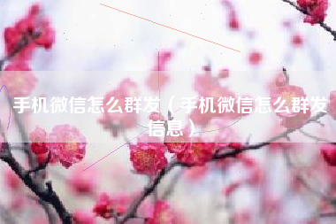 手机微信怎么群发（手机微信怎么群发信息）