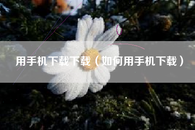 用手机下载下载（如何用手机下载）