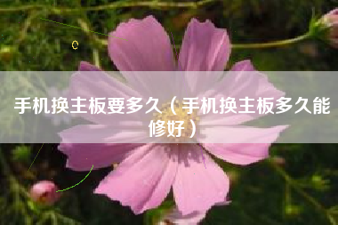 手机换主板要多久（手机换主板多久能修好）