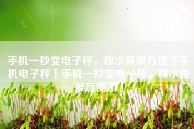 手机一秒变电子秤，称水果很方便了手机电子秤「手机一秒变电子秤，称水果很方便了」