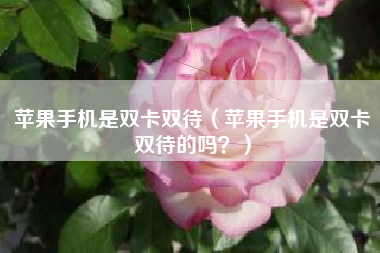 苹果手机是双卡双待（苹果手机是双卡双待的吗？）