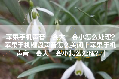 苹果手机声音一会大一会小怎么处理？苹果手机键盘声音怎么关闭「苹果手机声音一会大一会小怎么处理？」