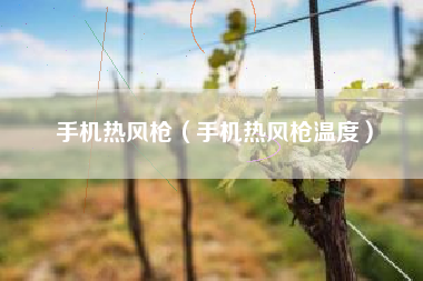 手机热风枪（手机热风枪温度）