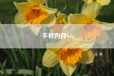 手机内存64g