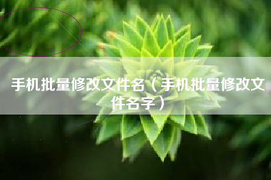 手机批量修改文件名（手机批量修改文件名字）