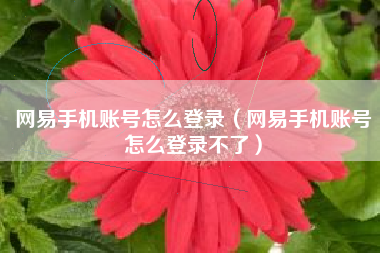 网易手机账号怎么登录（网易手机账号怎么登录不了）