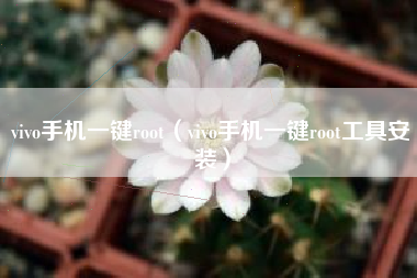 vivo手机一键root（vivo手机一键root工具安装）