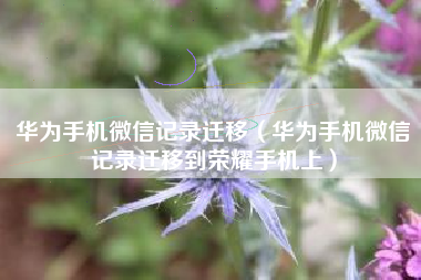 华为手机微信记录迁移（华为手机微信记录迁移到荣耀手机上）