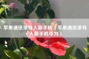 苹果通讯录导入新手机（苹果通讯录导入新手机华为）