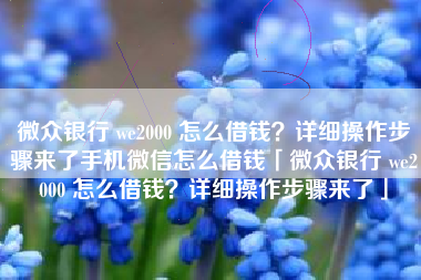 微众银行 we2000 怎么借钱？详细操作步骤来了手机微信怎么借钱「微众银行 we2000 怎么借钱？详细操作步骤来了」