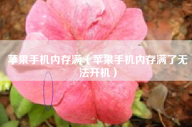苹果手机内存满（苹果手机内存满了无法开机）