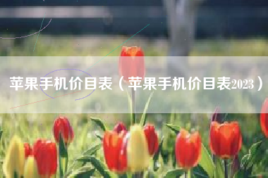 苹果手机价目表（苹果手机价目表2023）