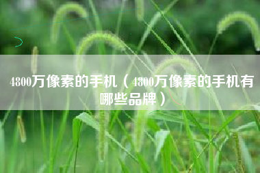 4800万像素的手机（4800万像素的手机有哪些品牌）