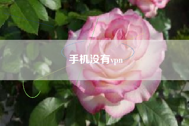 手机没有vpn