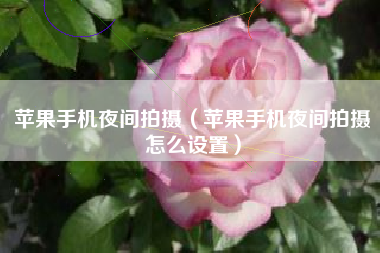 苹果手机夜间拍摄（苹果手机夜间拍摄怎么设置）