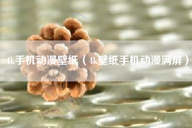 4k手机动漫壁纸（4k壁纸手机动漫满屏）