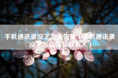 手机通讯录没了怎么恢复（手机通讯录没了怎么恢复联系人）