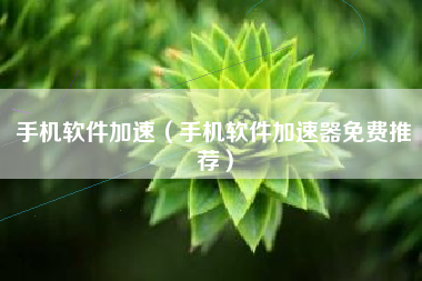 手机软件加速（手机软件加速器免费推荐）