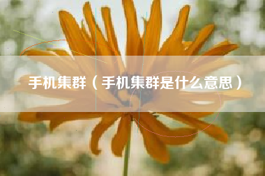 手机集群（手机集群是什么意思）