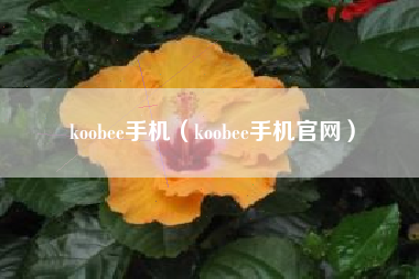 koobee手机（koobee手机官网）