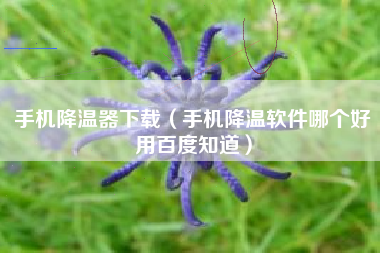 手机降温器下载（手机降温软件哪个好用百度知道）