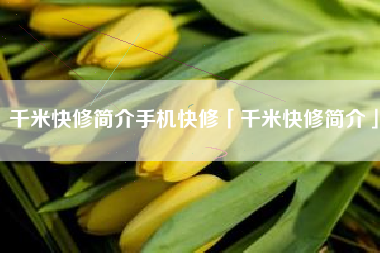 千米快修简介手机快修「千米快修简介」