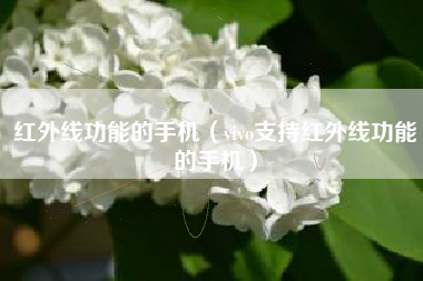 红外线功能的手机（vivo支持红外线功能的手机）