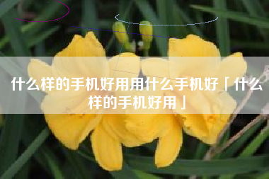什么样的手机好用用什么手机好「什么样的手机好用」