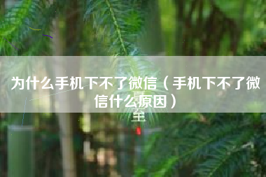 为什么手机下不了微信（手机下不了微信什么原因）