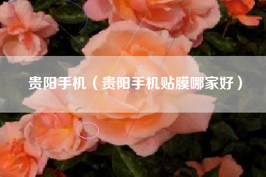 贵阳手机（贵阳手机贴膜哪家好）