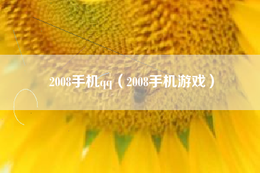 2008手机qq（2008手机游戏）