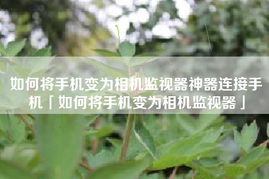 如何将手机变为相机监视器神器连接手机「如何将手机变为相机监视器」
