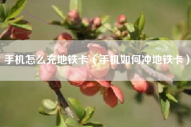 手机怎么充地铁卡（手机如何冲地铁卡）