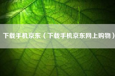 下载手机京东（下载手机京东网上购物）