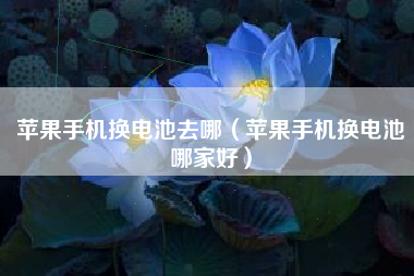 苹果手机换电池去哪（苹果手机换电池哪家好）