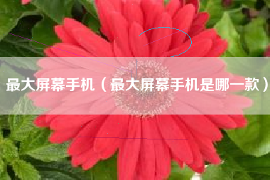 最大屏幕手机（最大屏幕手机是哪一款）