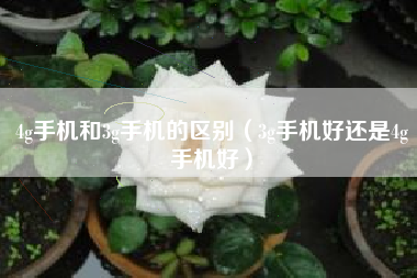 4g手机和3g手机的区别（3g手机好还是4g手机好）