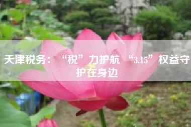 天津税务：“税”力护航 “3.15”权益守护在身边