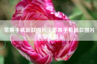 苹果手机新款图片（苹果手机新款图片大全大图）