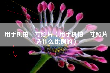 用手机拍一寸照片（用手机拍一寸照片选什么比例的）