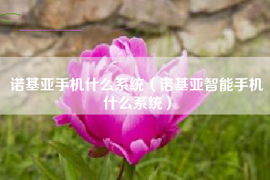 诺基亚手机什么系统（诺基亚智能手机什么系统）