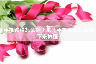 手机贴膜怎么撕下来（手机贴膜怎么撕下来教程）